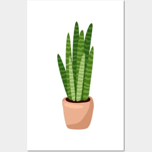 Sansevieria Succulent Posters and Art